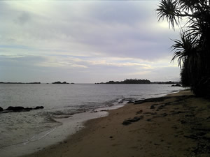 Beach